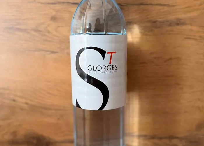 Hyper Centre 100m De La Apartment Ajaccio (Corsica)